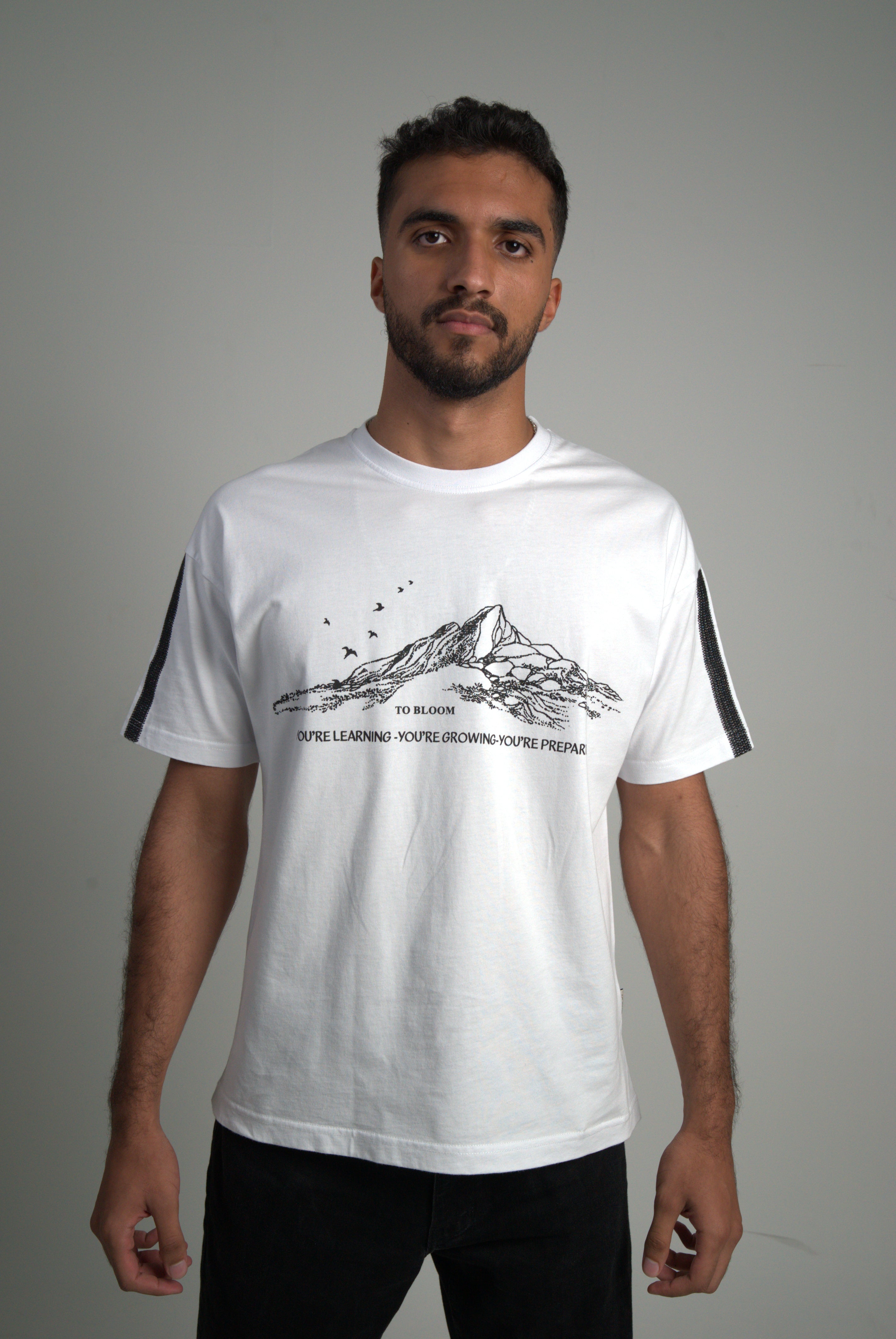Stitched Mountains