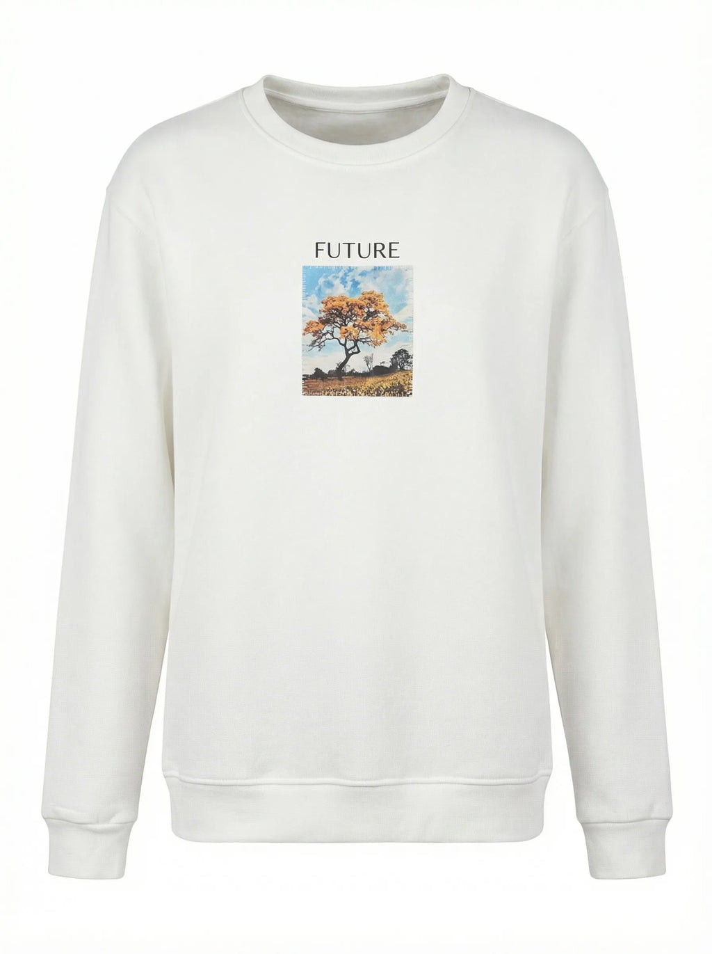 Future