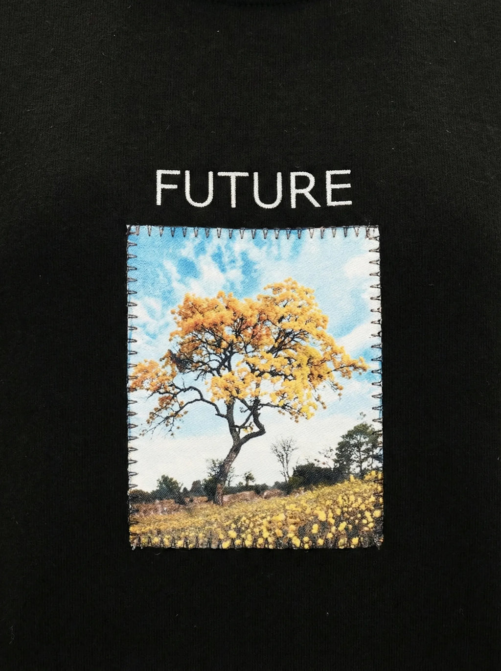 Future