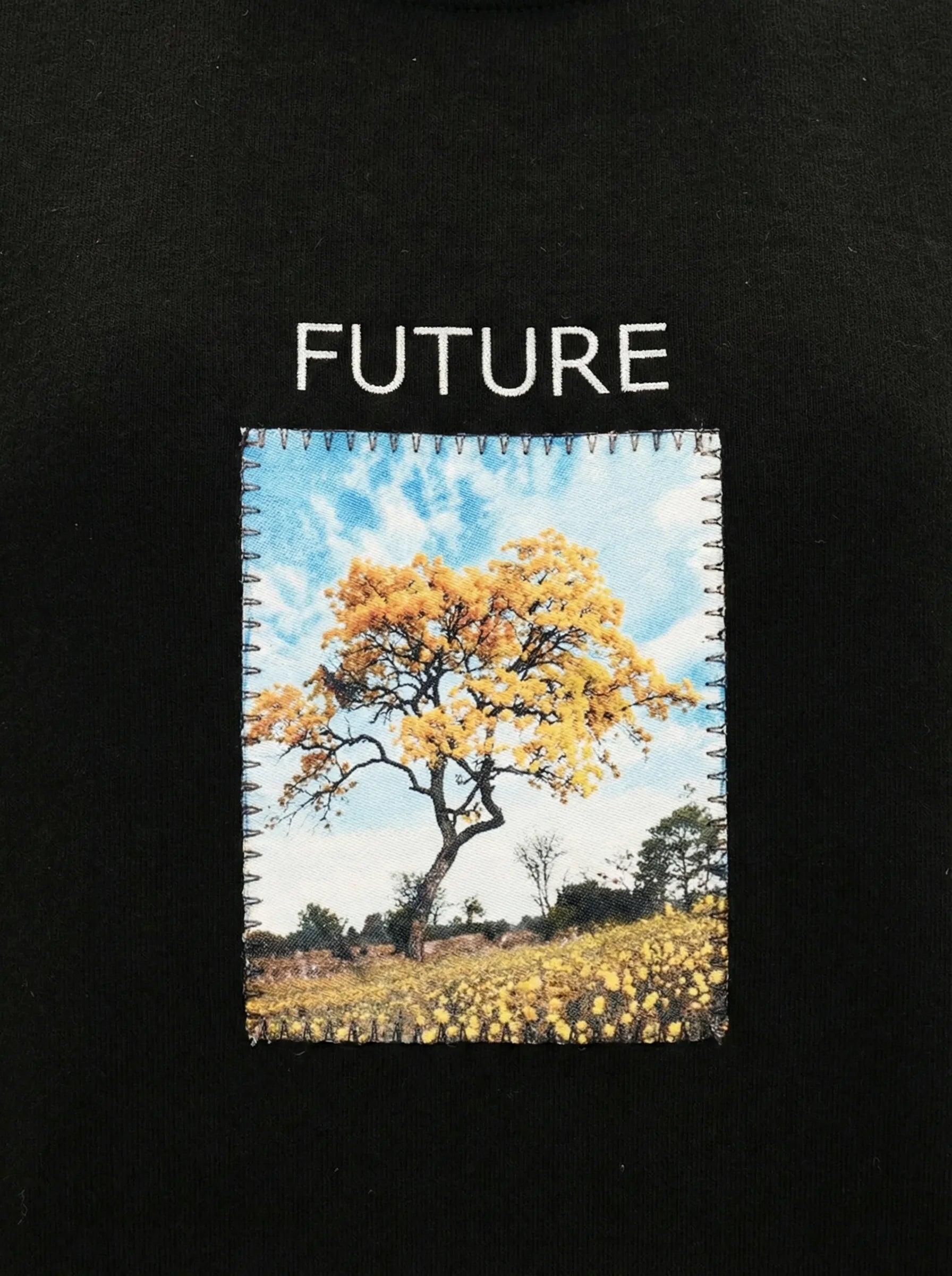 Future